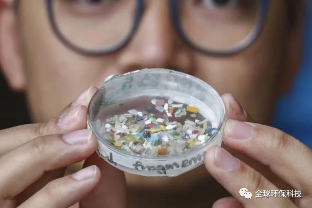 關于“微塑料”的危害，你了解多少？